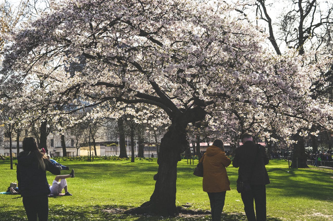 Iconic London Attractions One Day in London Itinerary The Clermont Victoria 4